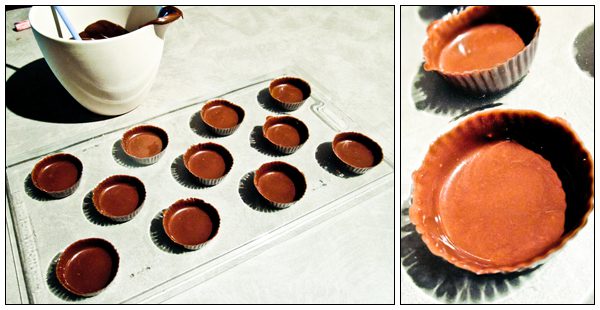 S'mores Chocolate Bites