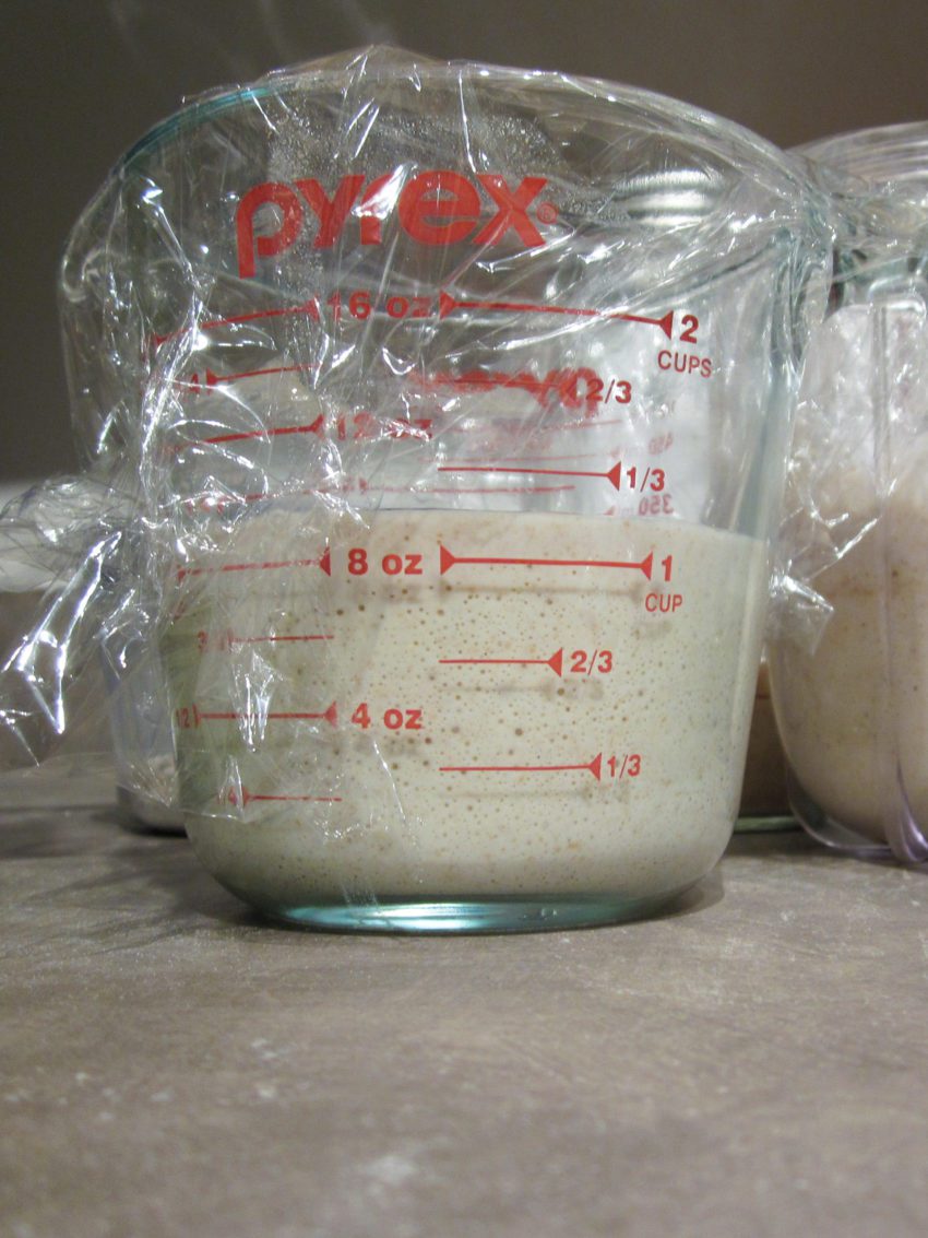 Sourdough Starter: Creation