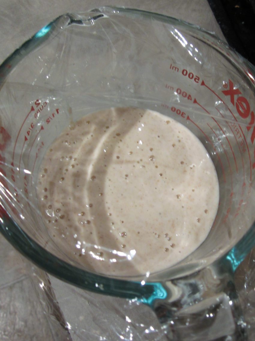 Sourdough Starter: Creation