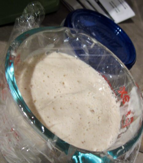 Sourdough Starter: Creation