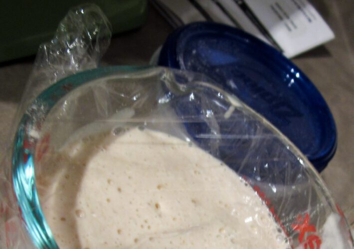 Sourdough Starter: Creation