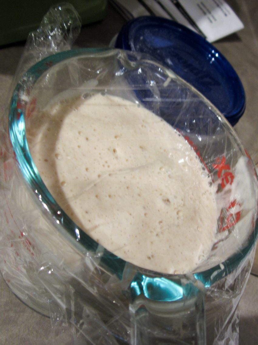 Sourdough Starter: Creation