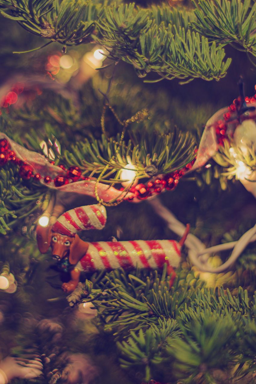 Candy Cane Dachshund Ornament