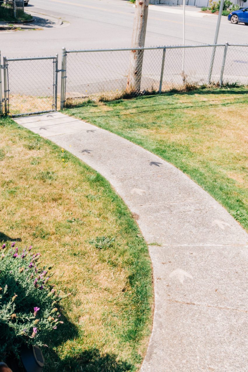 Dinosaur tracks on a walkway