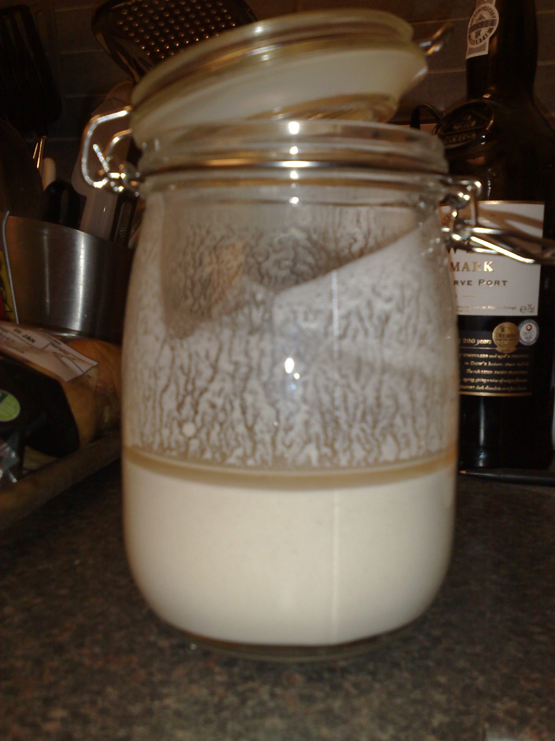 Sourdough Starter: Creation