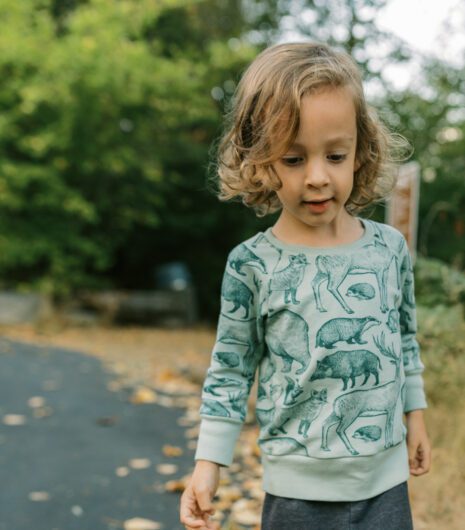 Raglan Reduex