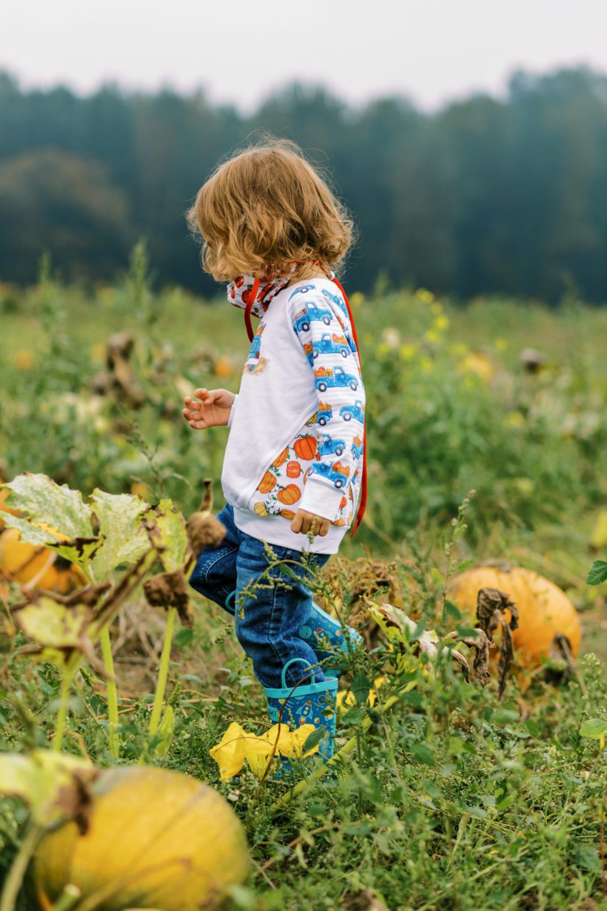 A Trip to the Pumpkin Patch